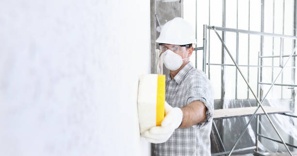 Why You Should Choose Our Mold Remediation Services in Crowley, TX